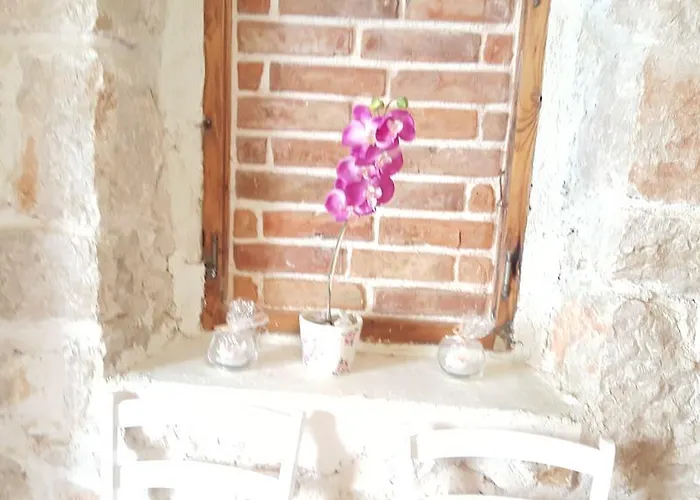 Apartment Elda Petrčane