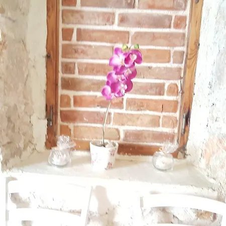Apartment Elda Petrcane